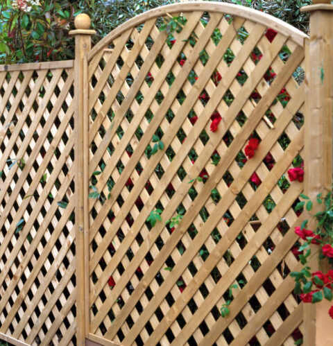 About Fife Fencing - Fife Fencing